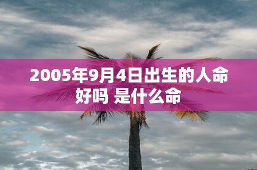 2005年9月4日出生的人命好吗 是什么命
