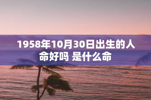 1958年10月30日出生的人命好吗 是什么命