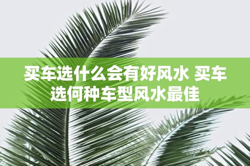 买车选什么会有好风水 买车选何种车型风水最佳