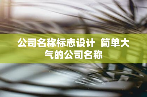 公司名称标志设计 简单大气的公司名称