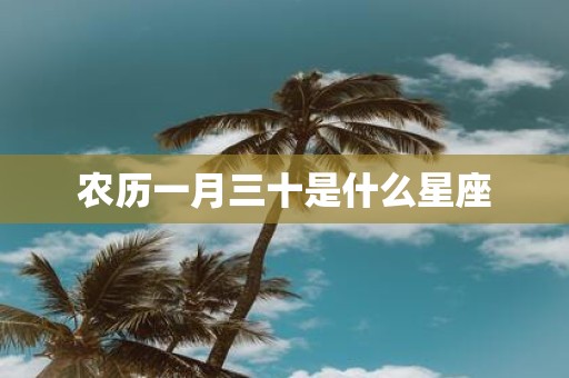 农历一月三十是什么星座