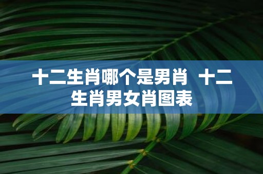 十二生肖哪个是男肖 十二生肖男女肖图表