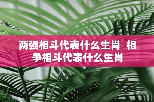 两强相斗代表什么生肖 相争相斗代表什么生肖