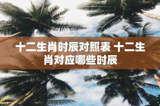 十二生肖时辰对照表 十二生肖对应哪些时辰