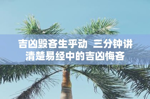 吉凶毁吝生乎动 三分钟讲清楚易经中的吉凶悔吝