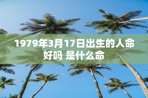 1979年3月17日出生的人命好吗 是什么命
