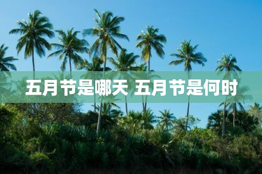 五月节是哪天 五月节是何时