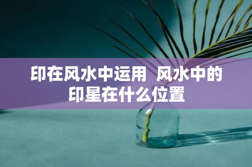 印在风水中运用 风水中的印星在什么位置