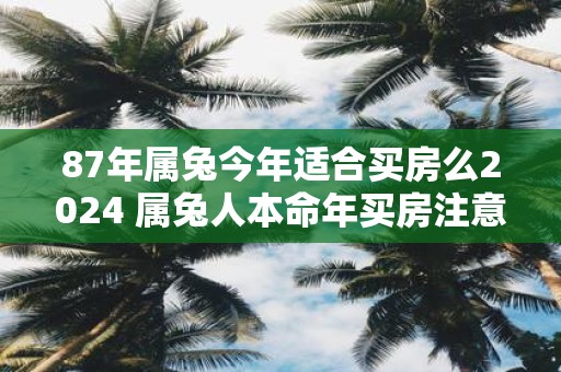 87年属兔今年适合买房么2025 属兔人本命年买房注意事项