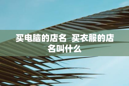 买电脑的店名 买衣服的店名叫什么