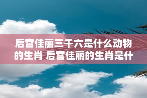 后宫佳丽三千六是什么动物的生肖 后宫佳丽的生肖是什么
