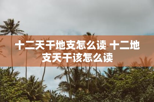 十二天干地支怎么读 十二地支天干该怎么读