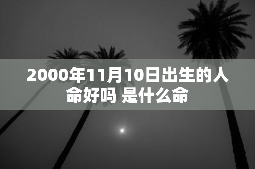 2000年11月10日出生的人命好吗 是什么命