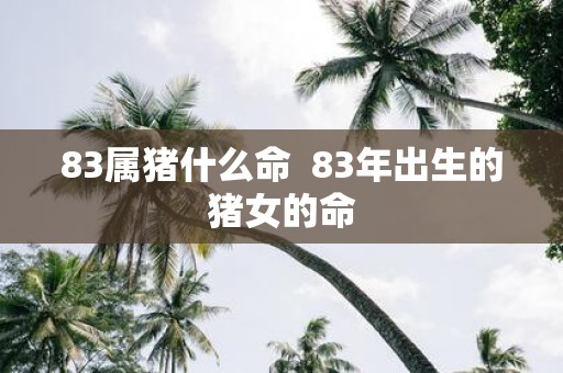 83属猪什么命 83年出生的猪女的命