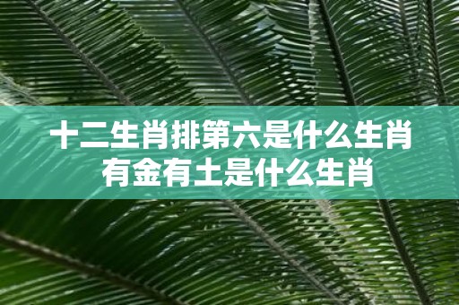 十二生肖排第六是什么生肖 有金有土是什么生肖