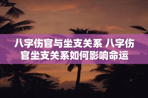 八字伤官与坐支关系 八字伤官坐支关系如何影响命运