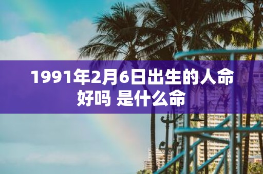1991年2月6日出生的人命好吗 是什么命