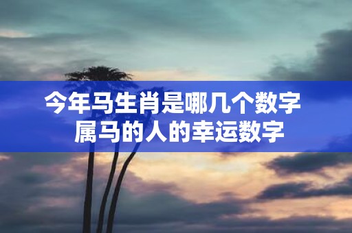 今年马生肖是哪几个数字 属马的人的幸运数字