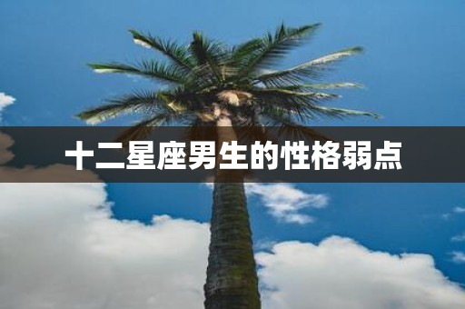 十二星座男生的性格弱点