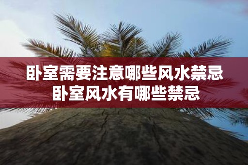 卧室需要注意哪些风水禁忌 卧室风水有哪些禁忌