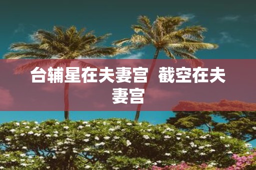 台辅星在夫妻宫 截空在夫妻宫