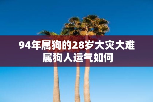 94年属狗的28岁大灾大难 属狗人运气如何