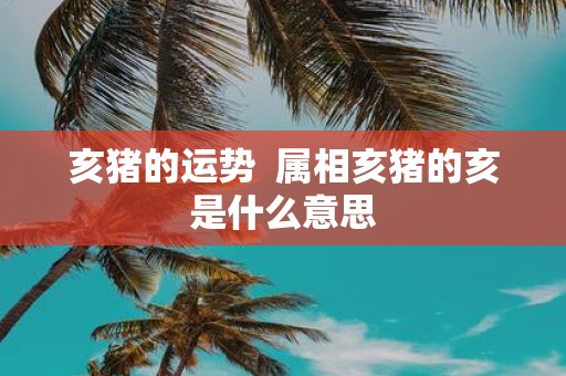 亥猪的运势 属相亥猪的亥是什么意思 亥猪的运势 属相亥猪的亥是什么意思