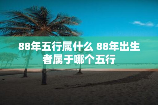 88年五行属什么 88年出生者属于哪个五行