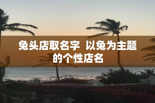 兔头店取名字 以兔为主题的个性店名