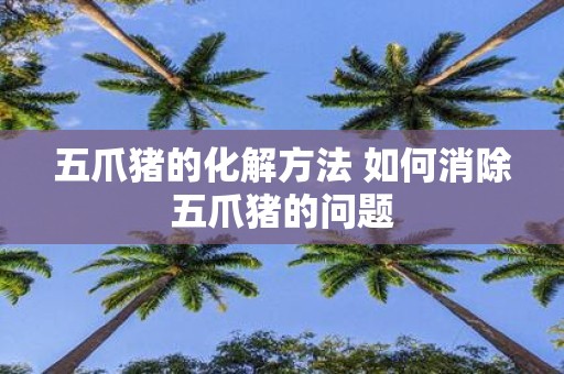 五爪猪的化解方法 如何消除五爪猪的问题
