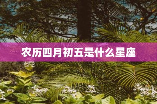 农历四月初五是什么星座