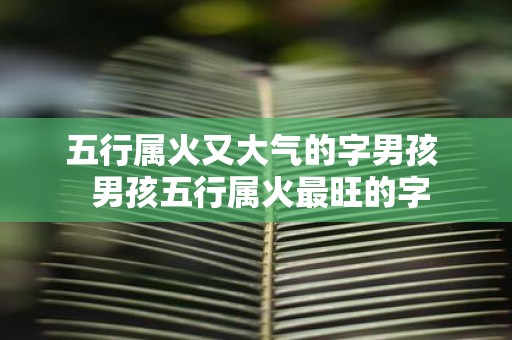五行属火又大气的字男孩 男孩五行属火最旺的字