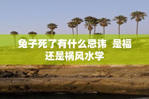 兔子死了有什么忌讳 是福还是祸风水学
