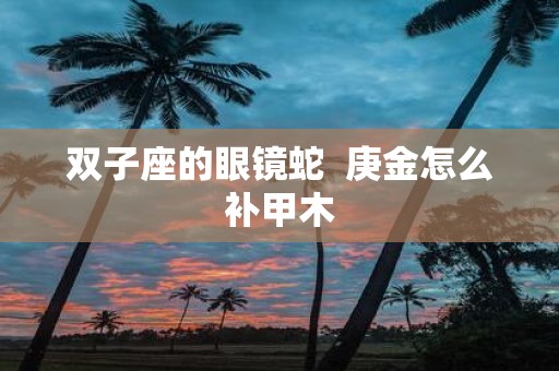 双子座的眼镜蛇 庚金怎么补甲木