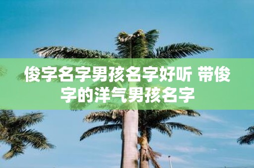 俊字名字男孩名字好听 带俊字的洋气男孩名字