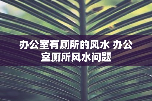 办公室有厕所的风水 办公室厕所风水问题