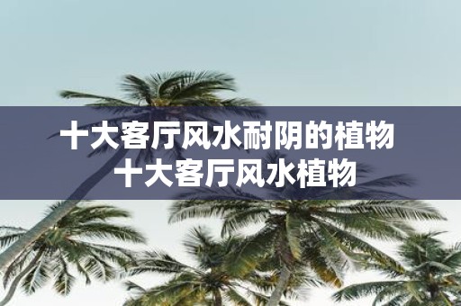 十大客厅风水耐阴的植物 十大客厅风水植物