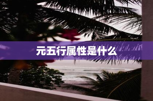 元五行属性是什么