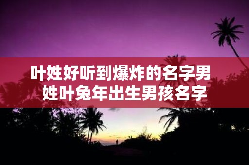 叶姓好听到爆炸的名字男 姓叶蛇年出生男孩名字