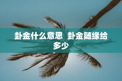 卦金什么意思 卦金随缘给多少