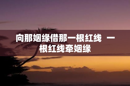向那姻缘借那一根红线 一根红线牵姻缘