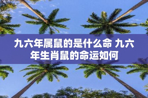 九六年属鼠的是什么命 九六年生肖鼠的命运如何