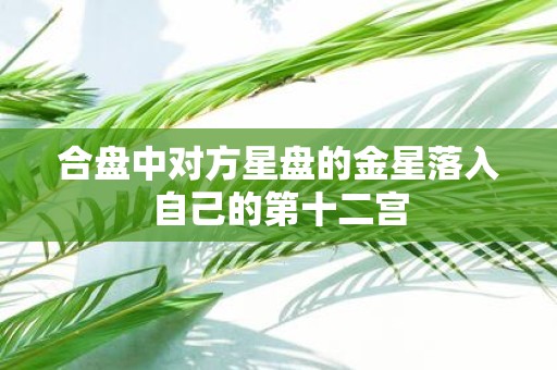 合盘中对方星盘的金星落入自己的第十二宫