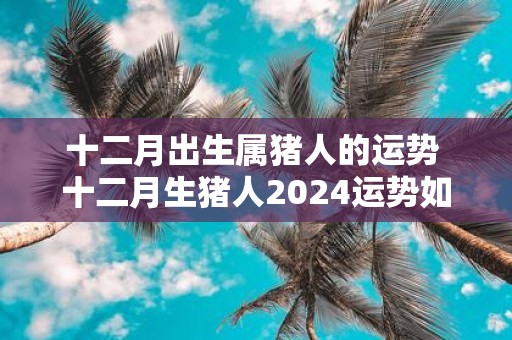 十二月出生属猪人的运势 十二月生猪人2025运势如何