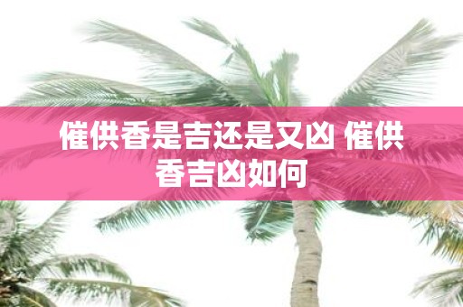 催供香是吉还是又凶 催供香吉凶如何