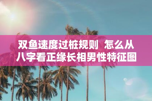 双鱼速度过桩规则 怎么从八字看正缘长相男性特征图解