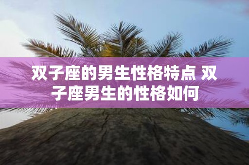 双子座的男生性格特点 双子座男生的性格如何