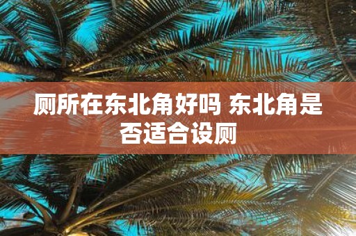 厕所在东北角好吗 东北角是否适合设厕