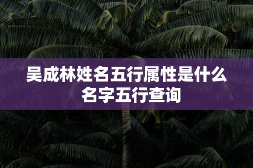 吴成林姓名五行属性是什么 名字五行查询