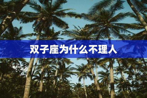 双子座为什么不理人
